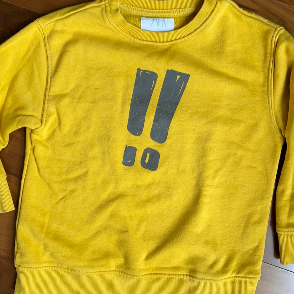 Say Whaaaaat?!! Zara plush sweatshirt